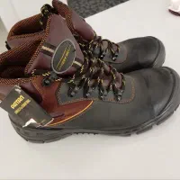 کفش کارایمنی|کیف، کفش، کمربند|برخوار, |دیوار