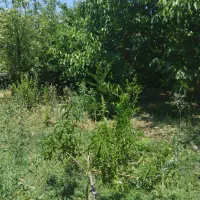 راهنمایی