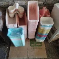 جا اسکاجی نظم دهنده