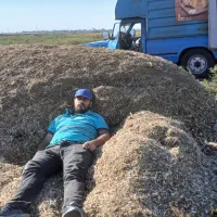 کاه لوبیا