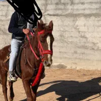 افغان فروشی