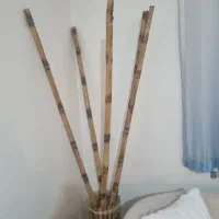 بامبو
