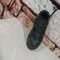 کفش کلارک در حد نوع