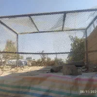 قفس مرغ وخروس