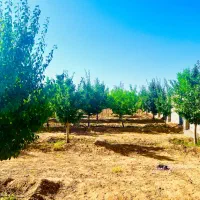 باغ1000متر درختان آب برق سند شاهنامه گوارشک|فروش زمین و ملک کلنگی|مشهد, توس فردوسی|دیوار