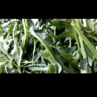 انواع سبزی خورشتی