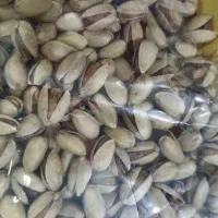 پسته فیض اباد