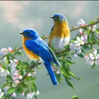 فروش و معاوضه ۳ نوع پرنده