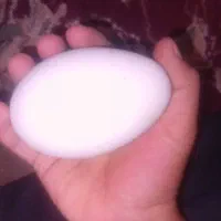 غاز ۹ماهه تخم گذار