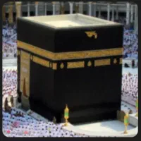 فیش حج واجب