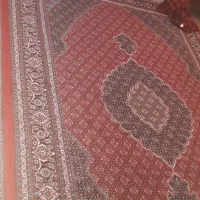 فرش ماهی و پشتی و کناره|فرش|سنندج, |دیوار