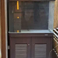 آکواریوم آب شور ماهیران شیشه خم