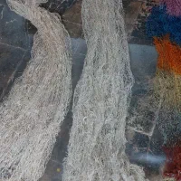 تور ماهیگیری سالیک ۴ عدد|ماهیگیری|مشهد, احمدآباد|دیوار