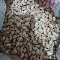 پسته بذری درجه یک