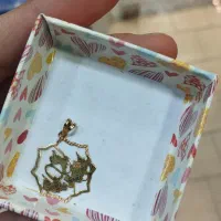 پلاک و ان یکاد درحد