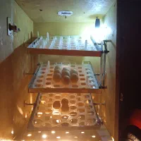 آموزش جوجه کشی خانگی و صنعتی