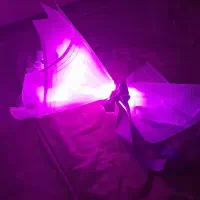 گل پروانه چراغدار وگل مصنوعی|گل مصنوعی|تبریز, |دیوار