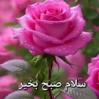 سیم کارت ۰۹۱۸۱۱۱۸۲۹۴