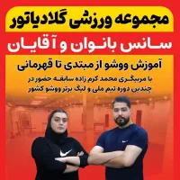 آموزش تخصصی ووشو از مبتدی تا قهرمانی