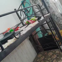 تخت دو نفره|تخت و سرویس خواب|قم, شهر قائم|دیوار
