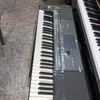korg pa600|پیانو، کیبورد، آکاردئون|یزد, |دیوار