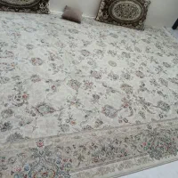 یه جفت فرش ۹ متری گل برجسته ۱۲۰۰شانه ۳۶۰۰ تراکم