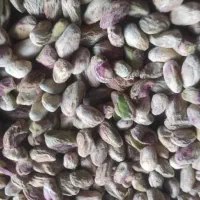 پسته و بادام