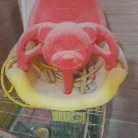 تاب|اسباببازی|برازجان, |دیوار