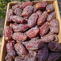 خرمای پیارم و مجول مستقیم از نخلستان|عمده‌فروشی|تهران, آشتیانی|دیوار