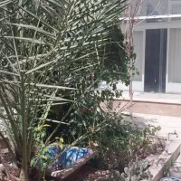 اجاره خانه دربستی  ۲۰۰متر دو خوابه در ابن سینا|اجارهٔ خانه و ویلا|اصفهان, سرچشمه|دیوار