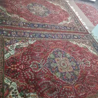 فروش فرش دستباف|فرش|سلماس, |دیوار