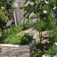 واحد ۱۵۰متر ویلای همکف ۳خواب صیادشیرازی۲|اجارهٔ خانه و ویلا|مشهد, هفت تیر (حافظ)|دیوار
