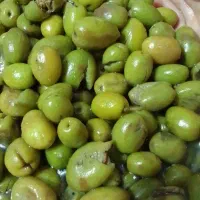 فروش محصولات خونگی