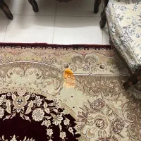 فرش بازمینه گلی|فرش|قم, منبع آب|دیوار