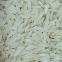 فروش برنج  هاشمی  سورتینگ شده و عالی یشرط