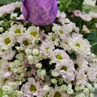 مشاغل پاره وقت