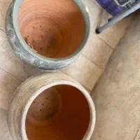 گلدان سفالی (کوزه ای/خمره ای)|گل و گیاه طبیعی|تهران, قبا|دیوار