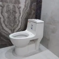 نصب و تعمیر شیرآلات فلاش تانک و توالت فرنگی|خدمات پیشه و مهارت|مهاجران, |دیوار