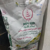 بذر کلزا