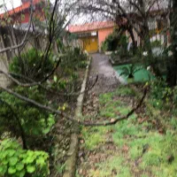 خط تهران ۰۹۱۲۲۲۷۲۴۹۵