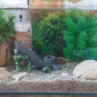 آکواریم شیشه خم|ماهی|نی‌ریز, |دیوار