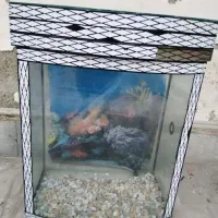 فروش آکواریوم