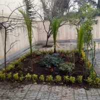 خدمات باغبانی وهرس وکوددهی باضمانت وفاکتورکل تهران