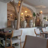 آشپز فرنگی خانم ، آشپز کارآموز خانم