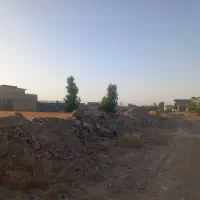 جاده قمصر پدیده  خیابان ۲۴متری ابتدای خیابان|فروش زمین و ملک کلنگی|کاشان, دشت لتحر|دیوار