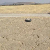 زمین کشاورزی|فروش دفتر صنعتی، کشاورزی، تجاری|کوزران, |دیوار