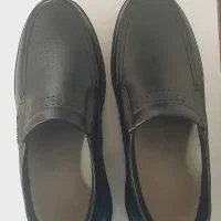 کفش مردانه pasargad|کیف، کفش، کمربند|دورود, |دیوار