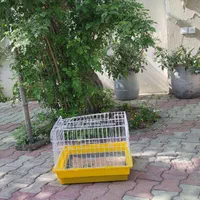قفس خرگوش