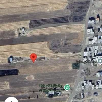 زمین گل سفید