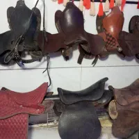 تجهیزات اسب|اسب و تجهیزات اسب‌سواری|قدس, شهر‌قدس|دیوار